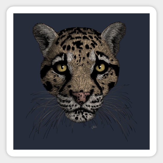 Clouded Leopard Sticker by Walking in Nature